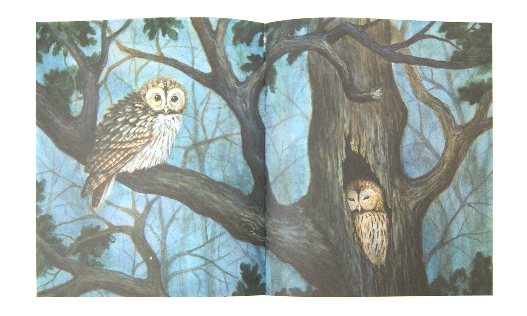 Иллюстрация 1 из 49 для Лесные разведчики - Виталий Бианки | Лабиринт - книги. Источник: Лабиринт
