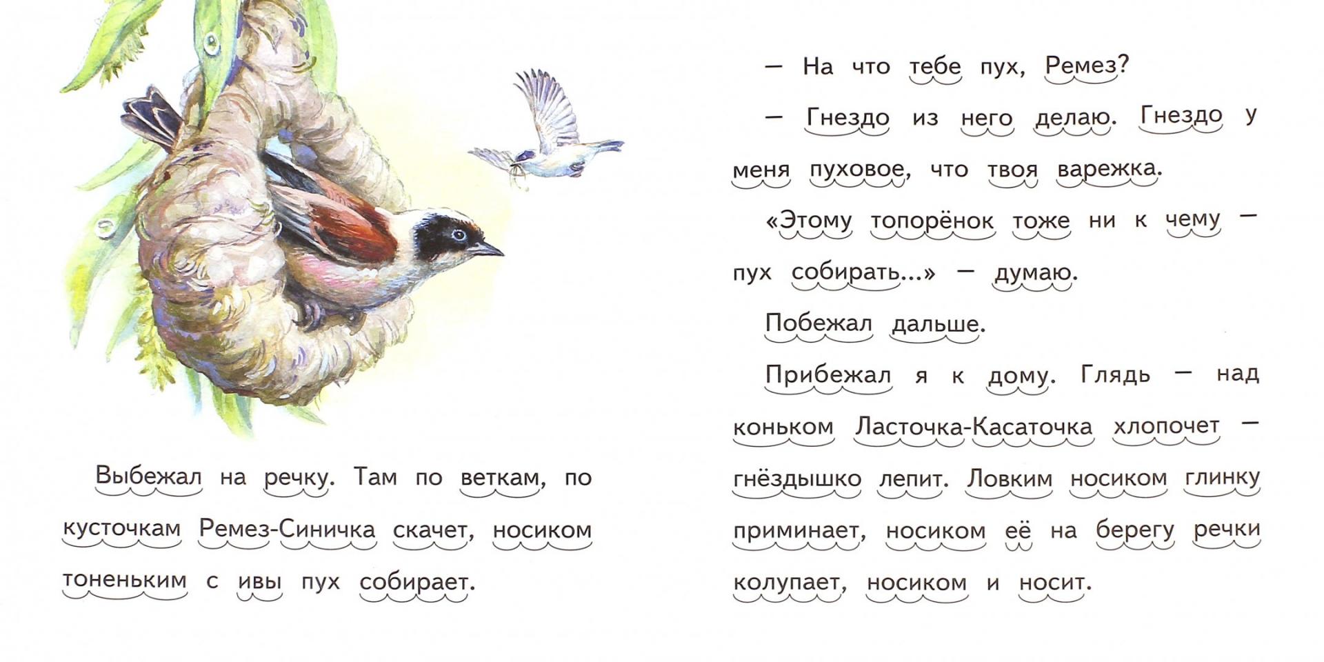Иллюстрация 1 из 14 для Лис и мышонок - Виталий Бианки | Лабиринт - книги. Источник: Лабиринт