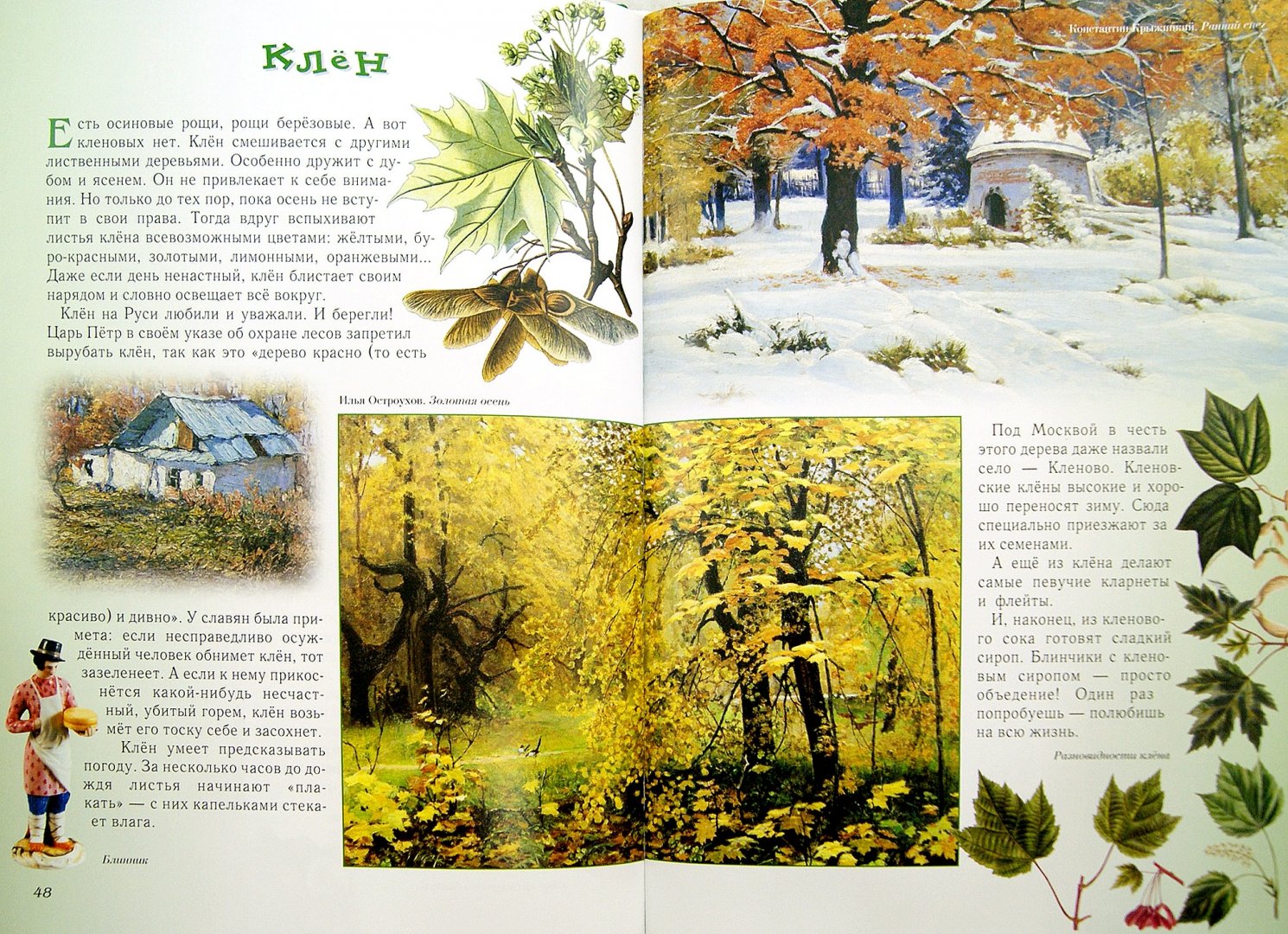 Иллюстрация 1 из 94 для Прогулки по лесу - Сергей Махотин | Лабиринт - книги. Источник: Лабиринт