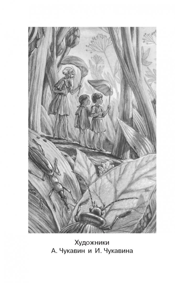 Иллюстрация 3 из 24 для Необыкновенные приключения Карика и Вали - Ян Ларри | Лабиринт - книги. Источник: Лабиринт