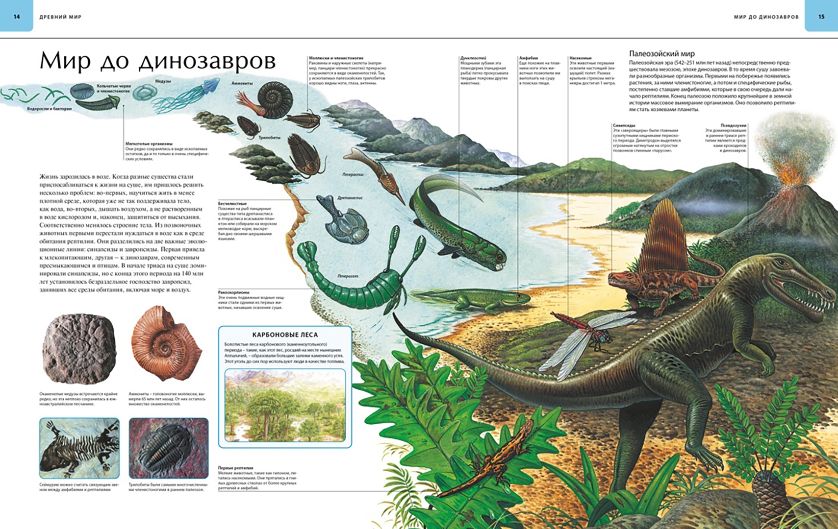 Иллюстрация 4 из 109 для Динозавры. Иллюстрированный атлас - Майкл Бретт-Шуман | Лабиринт - книги. Источник: Лабиринт