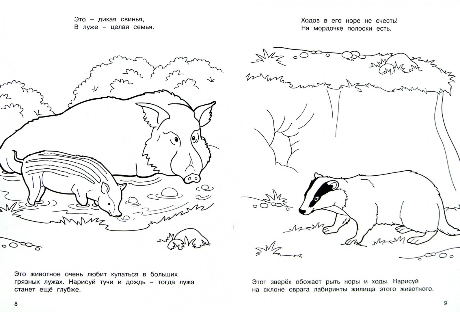 Иллюстрация 1 из 8 для Лесные жители - М. Земнов | Лабиринт - книги. Источник: Лабиринт