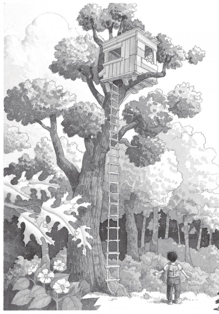 Иллюстрация 6 из 20 для Волшебный дом на дереве. Динозавры в сумерках - Мэри Осборн | Лабиринт - книги. Источник: Лабиринт
