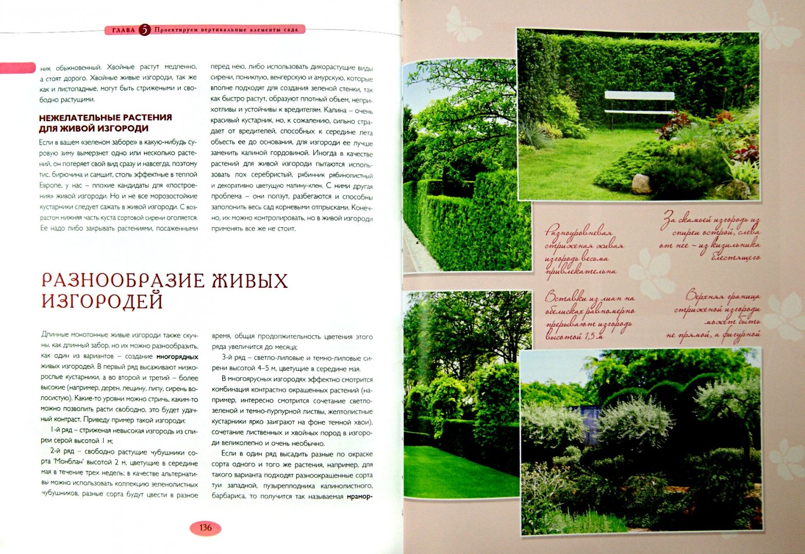 Иллюстрация 1 из 18 для Мой прекрасный сад - Татьяна Шиканян | Лабиринт - книги. Источник: Лабиринт