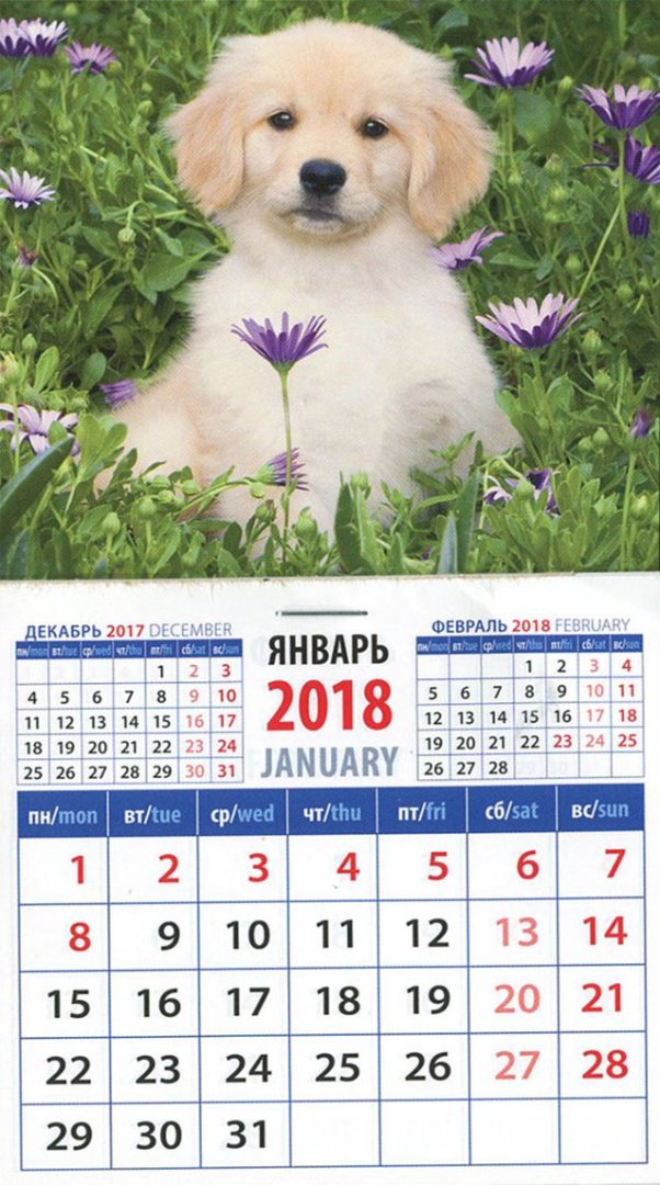 Иллюстрация 1 из 3 для 2018 Календарь "Год собаки. Щенок голден ретривера среди цветов" (20827) | Лабиринт - сувениры. Источник: Лабиринт