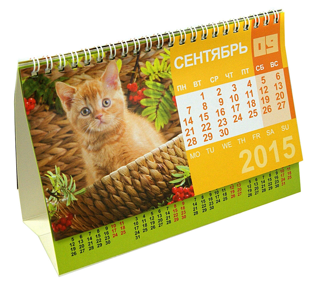 Иллюстрация 1 из 13 для Календарь-домик 2015 "Котята" | Лабиринт - сувениры. Источник: Лабиринт