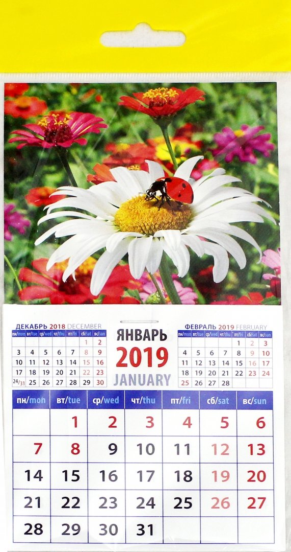 Иллюстрация 1 из 17 для Календарь 2019 "Божья коровка на цветке" (20920) | Лабиринт - сувениры. Источник: Лабиринт
