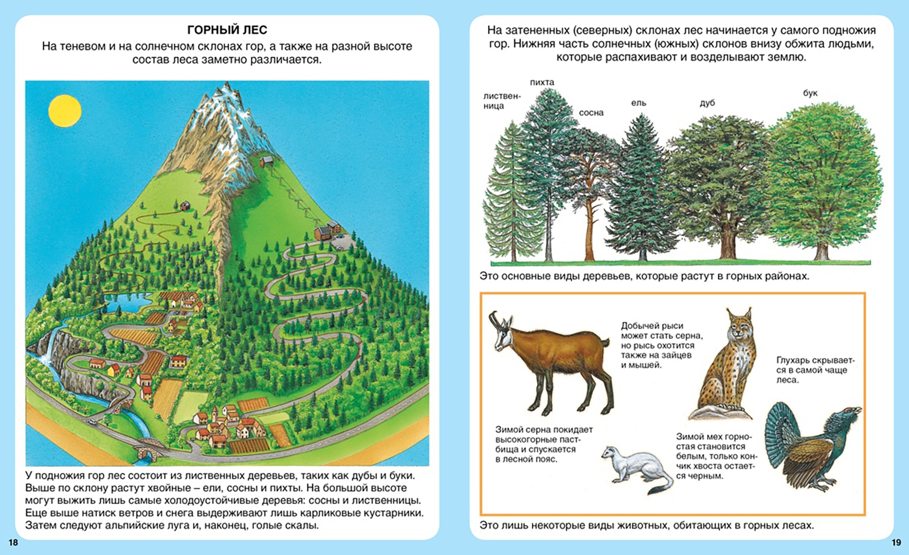 Иллюстрация 2 из 61 для Жизнь леса - Мари-Рене Пимон | Лабиринт - книги. Источник: Лабиринт