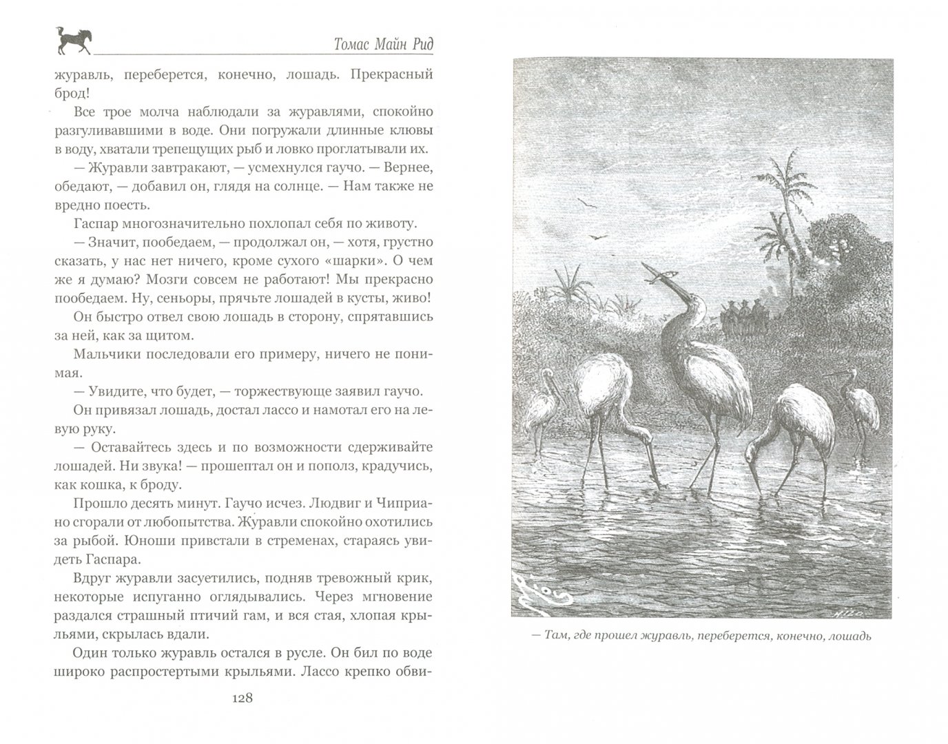 Иллюстрация 1 из 39 для Гаспар-гаучо - Рид Майн | Лабиринт - книги. Источник: Лабиринт