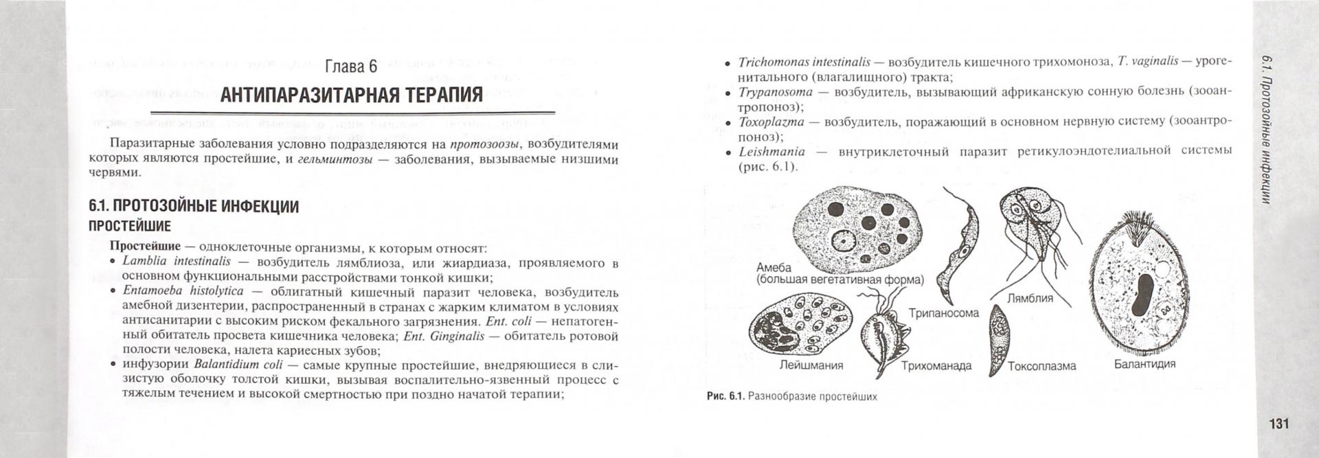 Иллюстрация 3 из 8 для Руководство по антимикробной терапии в педиатрии - Рита Кильдиярова | Лабиринт - книги. Источник: Лабиринт