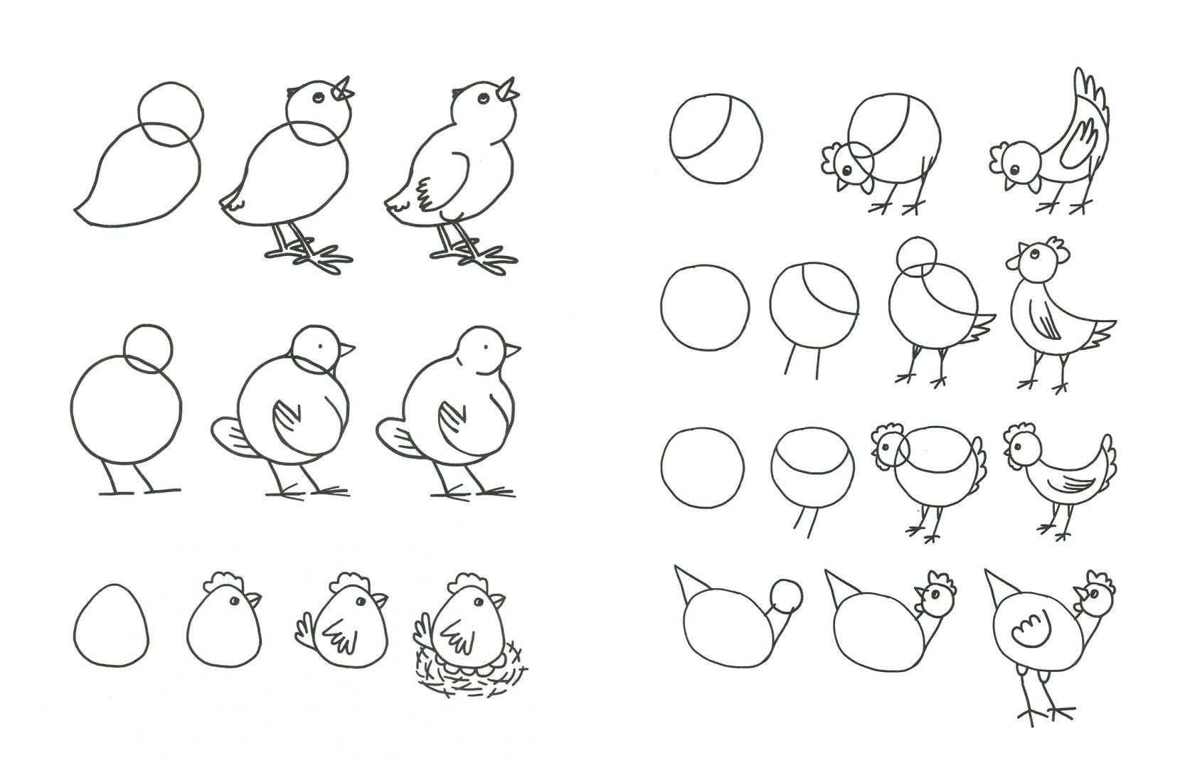 Иллюстрация 1 из 12 для Рисуем домашних птиц по алгоритмическим схемам. 5-7 лет. ФГОС ДО - Нелли Шайдурова | Лабиринт - книги. Источник: Лабиринт
