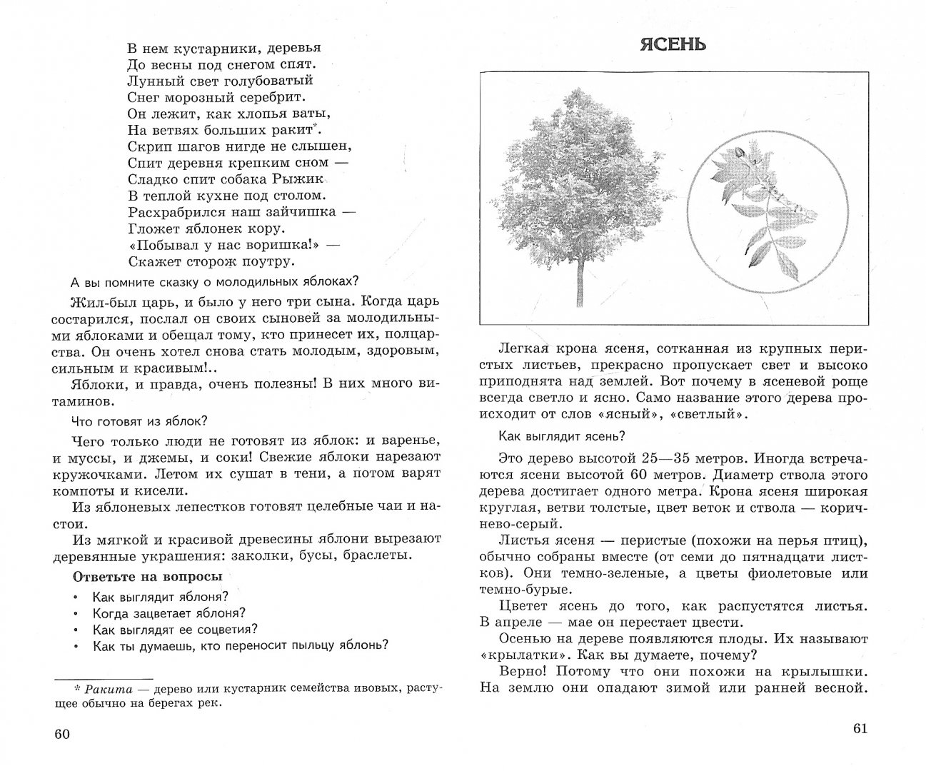 Иллюстрация 1 из 11 для Беседы о деревьях и кустарниках с детьми 5-8 лет - Татьяна Шорыгина | Лабиринт - книги. Источник: Лабиринт