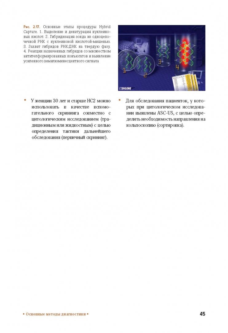Иллюстрация 6 из 18 для Клиническая кольпоскопия. Практическое руководство - Апгар, Броцман, Шпицер | Лабиринт - книги. Источник: Лабиринт