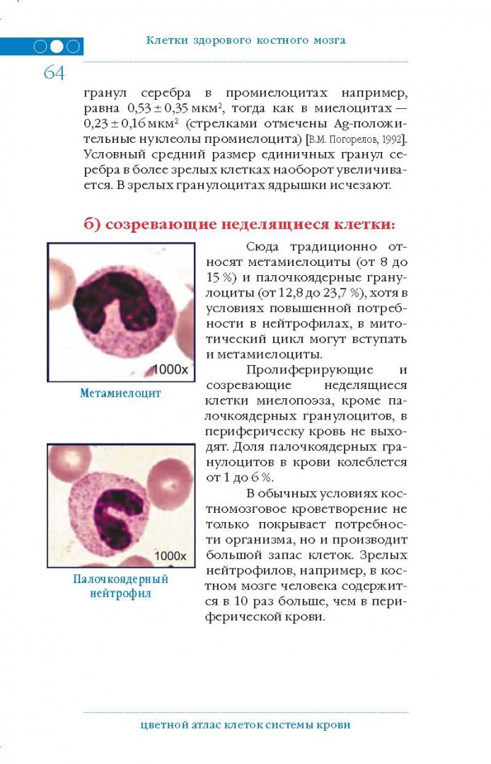 Иллюстрация 2 из 16 для Цветной атлас клеток системы крови - Погорелов, Проценко, Козинец | Лабиринт - книги. Источник: Лабиринт