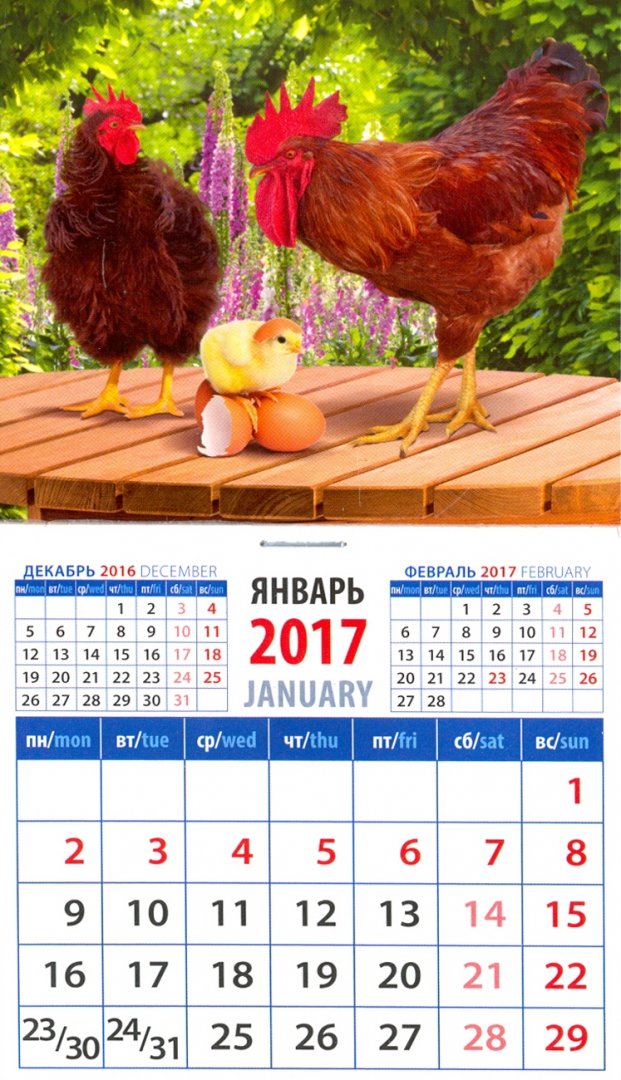 Иллюстрация 1 из 3 для Календарь 2017 "Год петуха. Петух, курица и цыпленок" на магните (20736) | Лабиринт - сувениры. Источник: Лабиринт