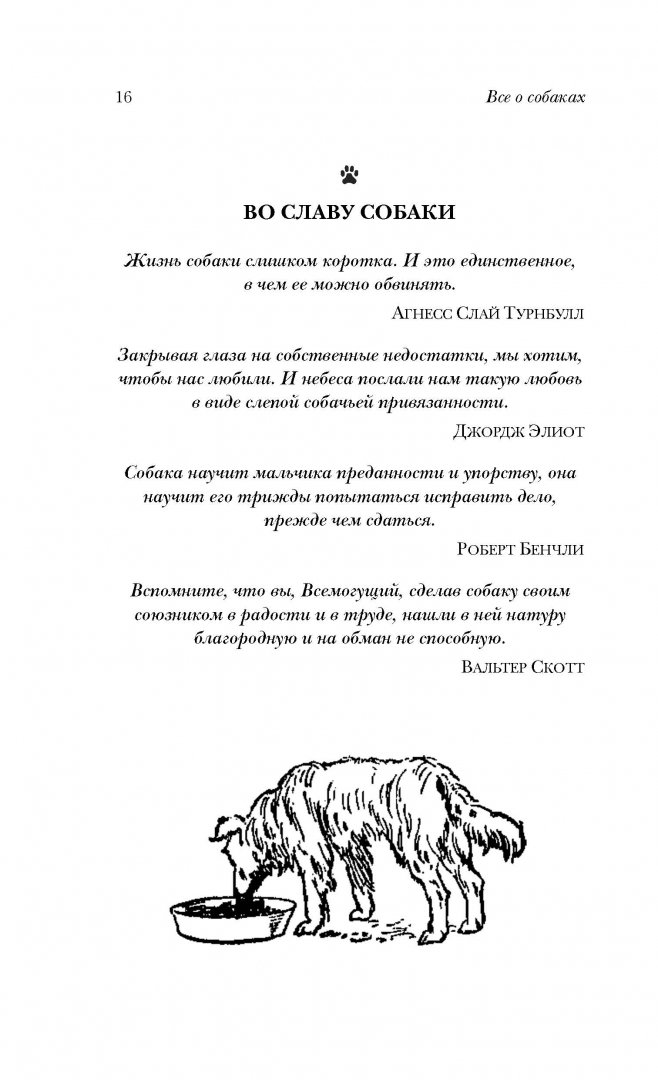 Иллюстрация 15 из 17 для Все о собаках. Альманах собачьих тайн - Дж.Э. Уайнс | Лабиринт - книги. Источник: Лабиринт