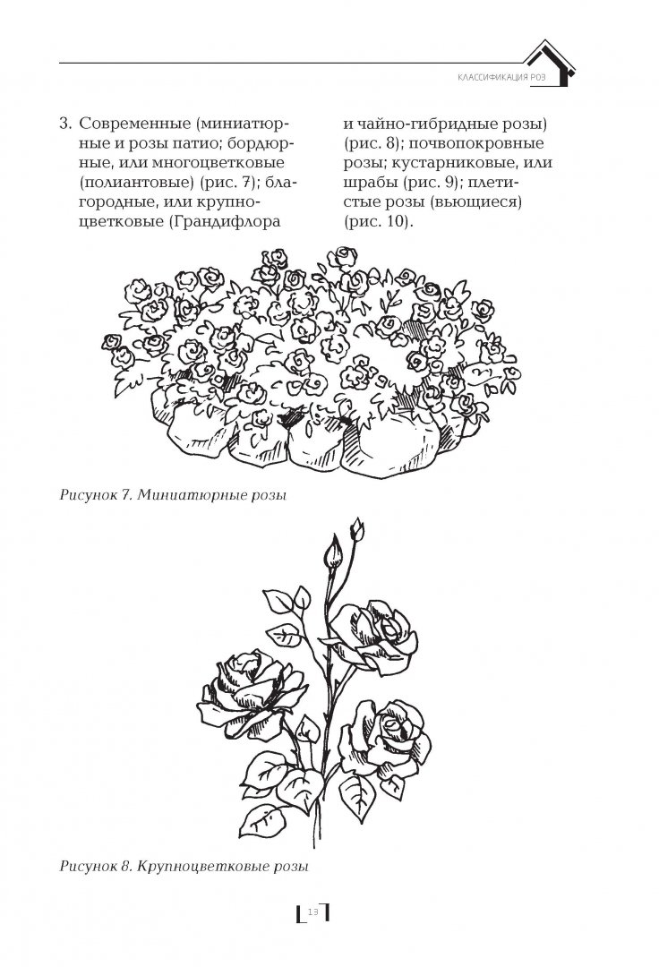 Иллюстрация 12 из 34 для Розарий на дачном участке - Мария Нелидова | Лабиринт - книги. Источник: Лабиринт