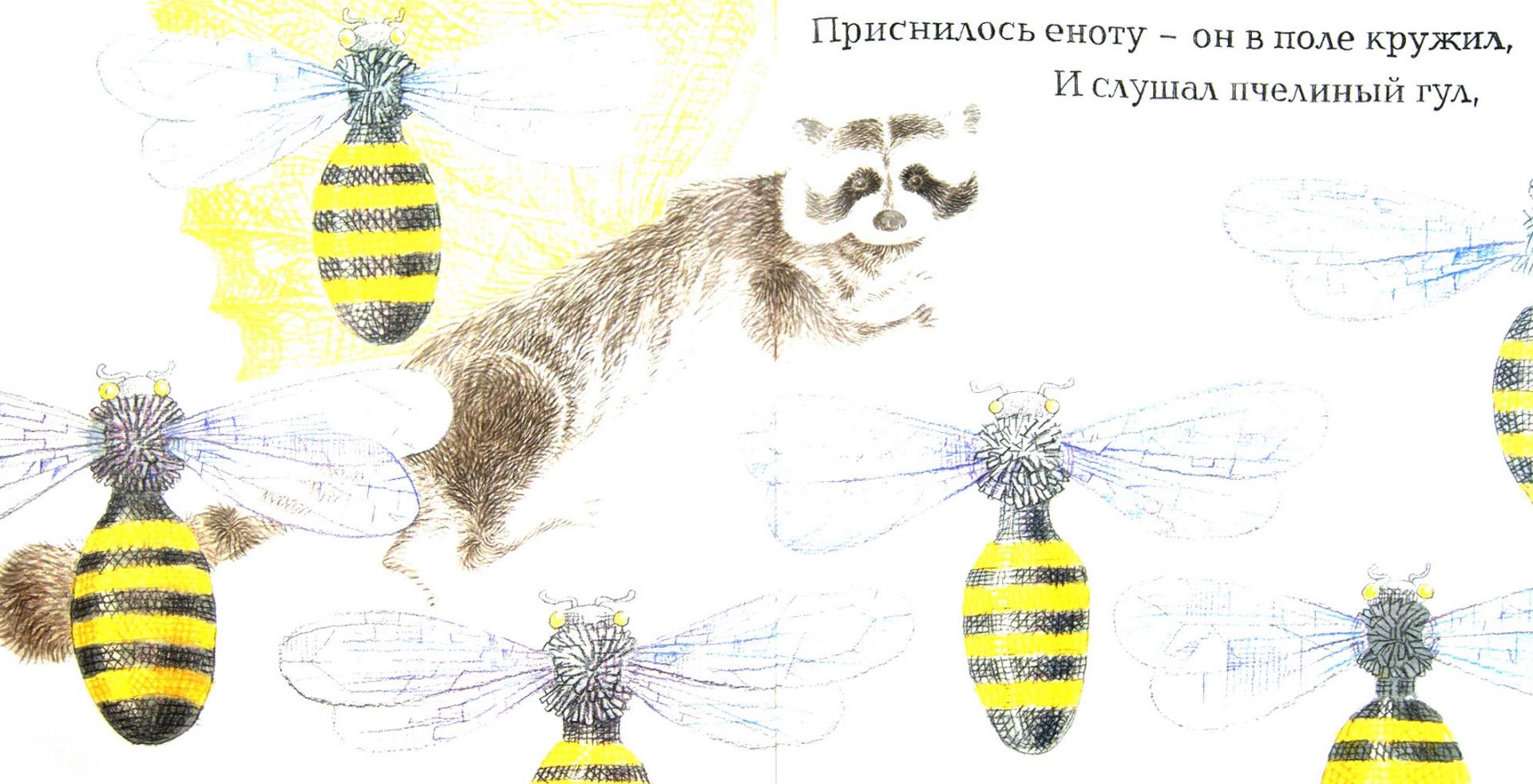 Иллюстрация 1 из 31 для Енот и бабочка - Александр Коняшов | Лабиринт - книги. Источник: Лабиринт