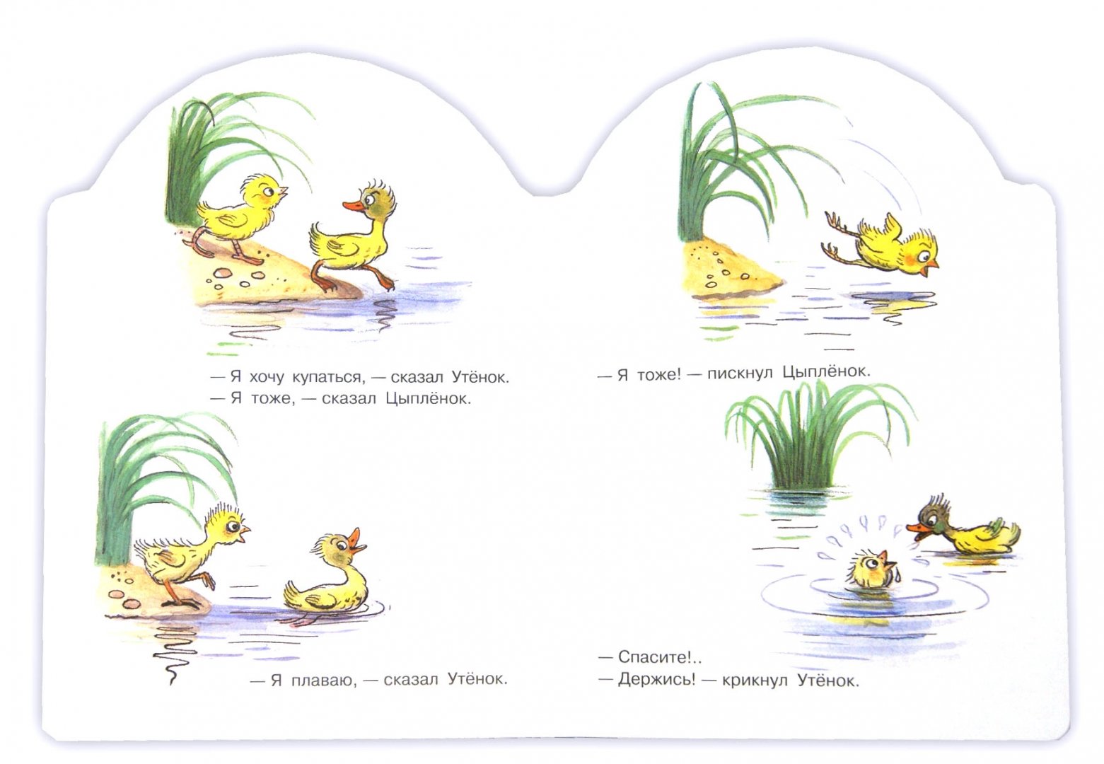 Иллюстрация 1 из 13 для Цыпленок и Утенок - Владимир Сутеев | Лабиринт - книги. Источник: Лабиринт