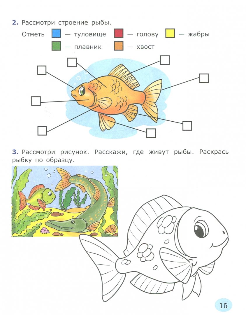 Проверочная работа по теме класс рыбы. Рыбы задания для детей. Задания для дошкольников ры. Рыбы задания для дошкольников. Задания для детей о рыбах для дошкольников.