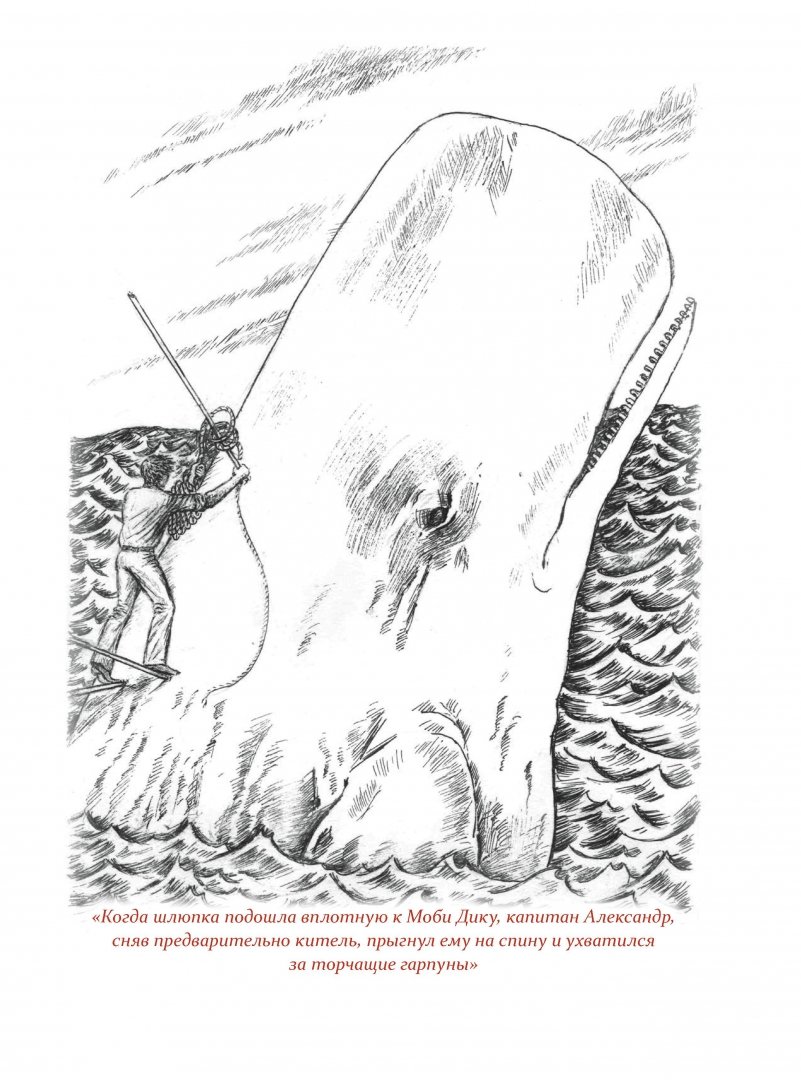 Иллюстрация 6 из 27 для Путешествия капитана Александра. Киты и люди - Саша Кругосветов | Лабиринт - книги. Источник: Лабиринт