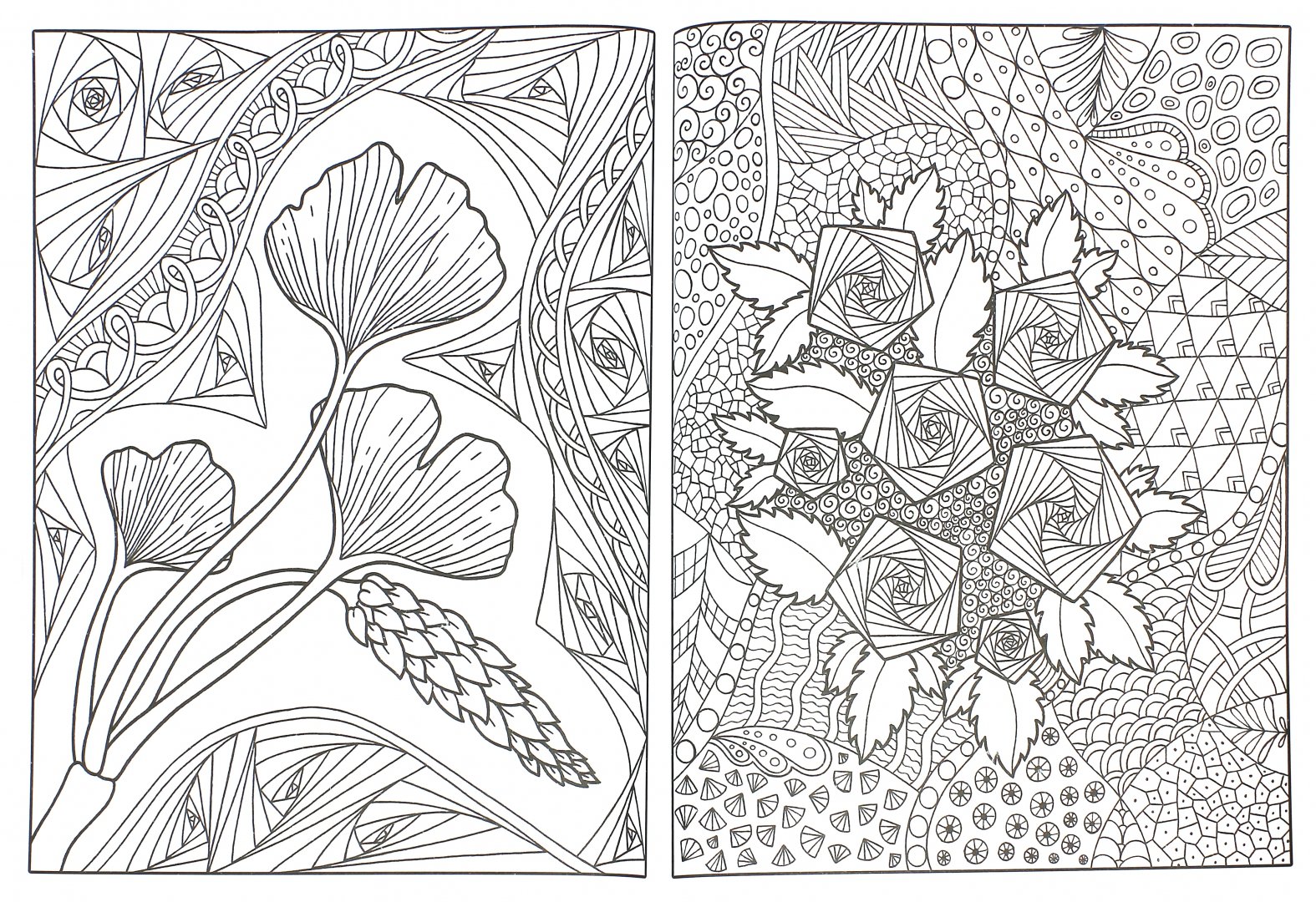 Иллюстрация 1 из 38 для Раскраска-зендудл. Цветотерапия. Чудесные цветы - Янина Миронова | Лабиринт - книги. Источник: Лабиринт