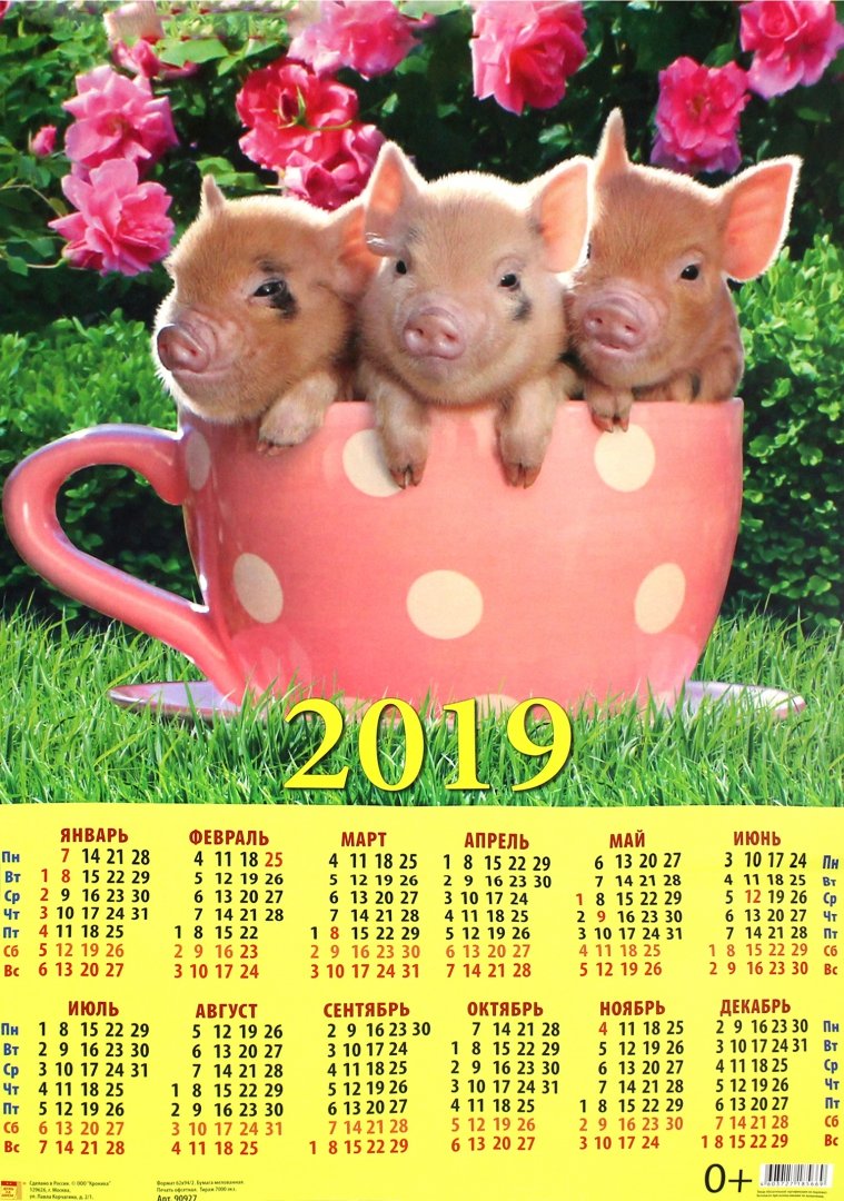 Иллюстрация 1 из 4 для Календарь 2019 "Год поросенка. Веселые малыши в чашке" (90927) | Лабиринт - сувениры. Источник: Лабиринт