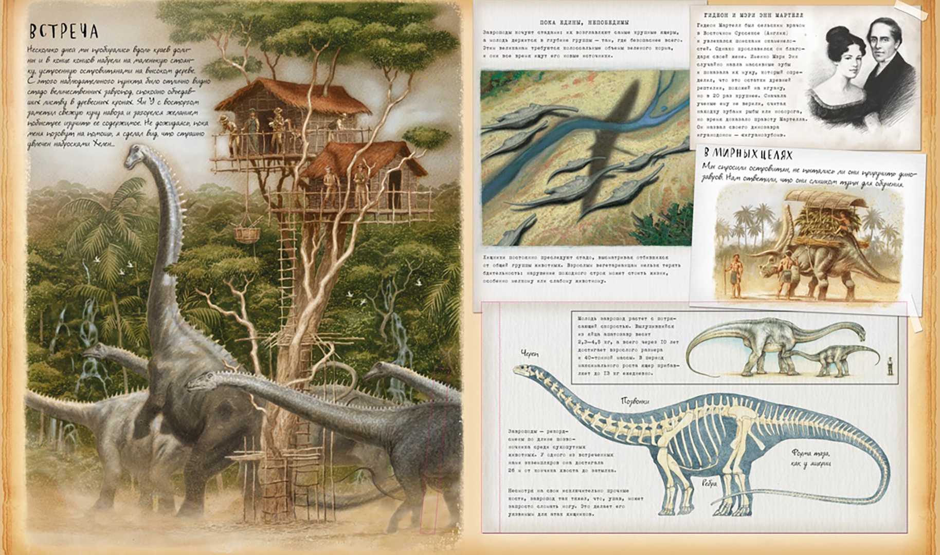 Иллюстрация 4 из 24 для Динозавроведение. Поиски затерянного мира | Лабиринт - книги. Источник: Лабиринт