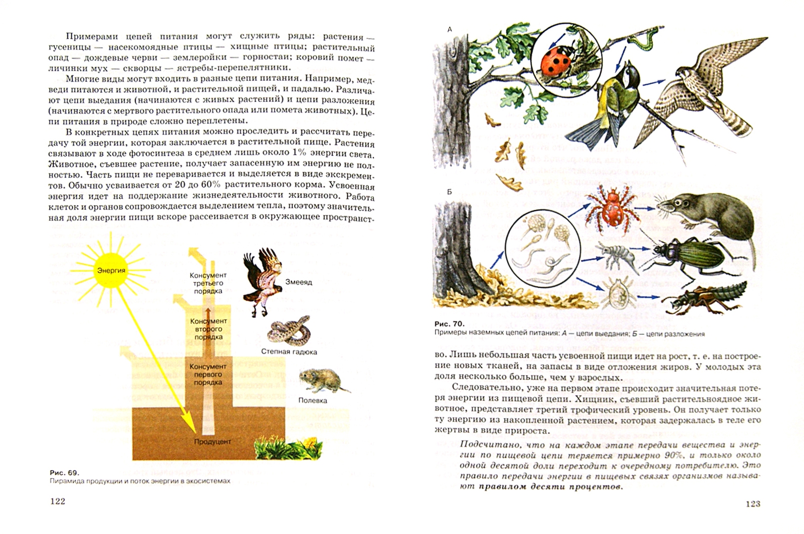 Иллюстрация 1 из 26 для Экология. 10 (11) класс: учебник для общеобразовательных учреждений - Чернова, Константинов, Галушин | Лабиринт - книги. Источник: Лабиринт