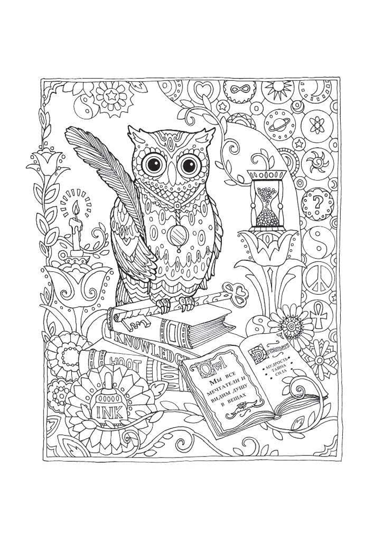 Иллюстрация 4 из 32 для Совушки. Блокнот-раскраска | Лабиринт - книги. Источник: Лабиринт