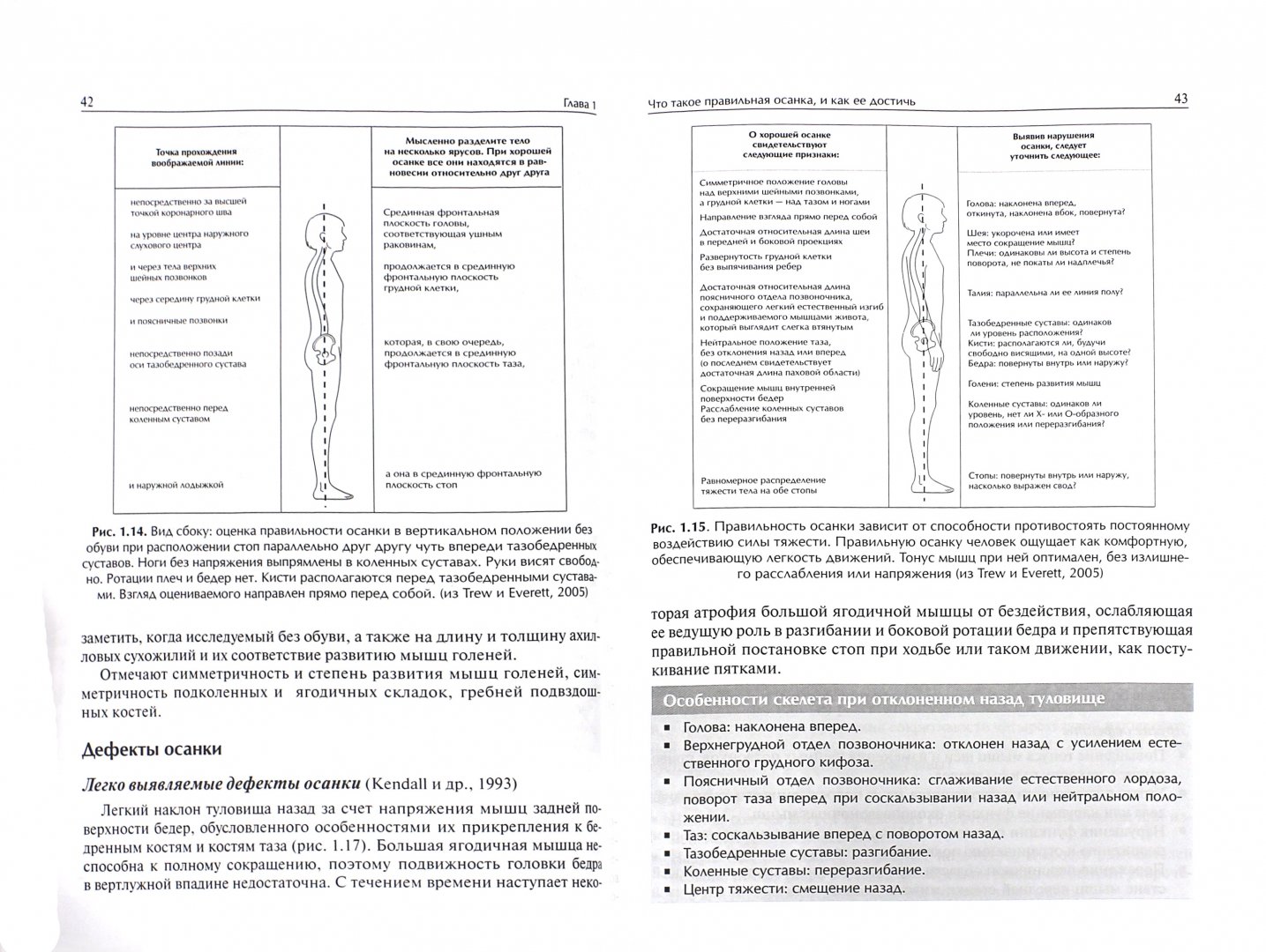 Иллюстрация 1 из 18 для Система физических упражнений Пилатеса при дефектах осанки и последствиях заболеваний и травм - Джейн Патерсон | Лабиринт - книги. Источник: Лабиринт