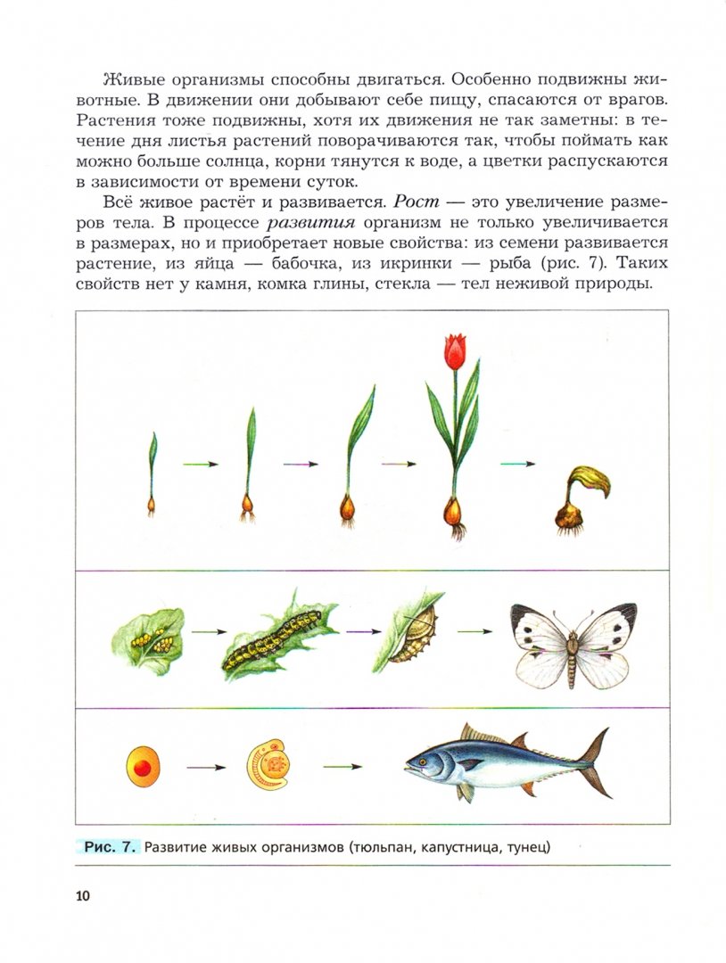 Иллюстрация 2 из 2 для Биология. 5 класс. Учебник. ФГОС - Пономарева, Корнилова, Николаев | Лабиринт - книги. Источник: Лабиринт