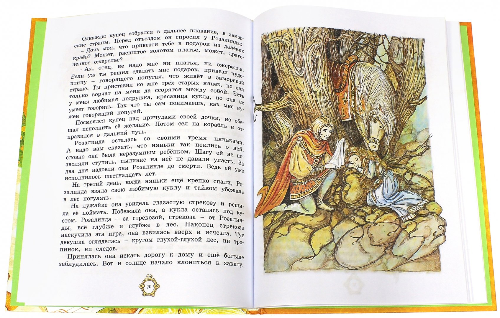 Иллюстрация 1 из 43 для Принцесса из Апельсина | Лабиринт - книги. Источник: Лабиринт