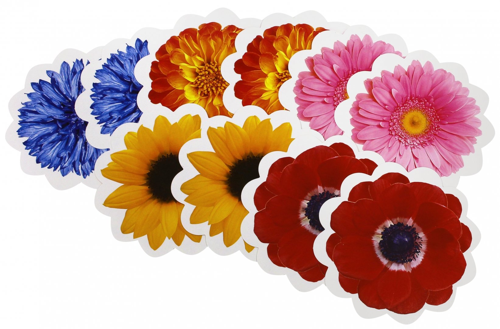 Иллюстрация 1 из 9 для Комплект украшений "Летние цветы" (5 видов) (КМ-9556) | Лабиринт - игрушки. Источник: Лабиринт