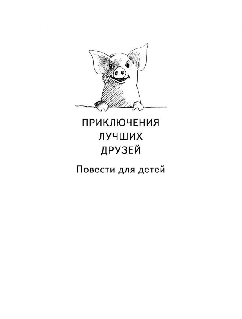 Иллюстрация 1 из 20 для Прятки с русалкой - Владимир Сотников | Лабиринт - книги. Источник: Лабиринт