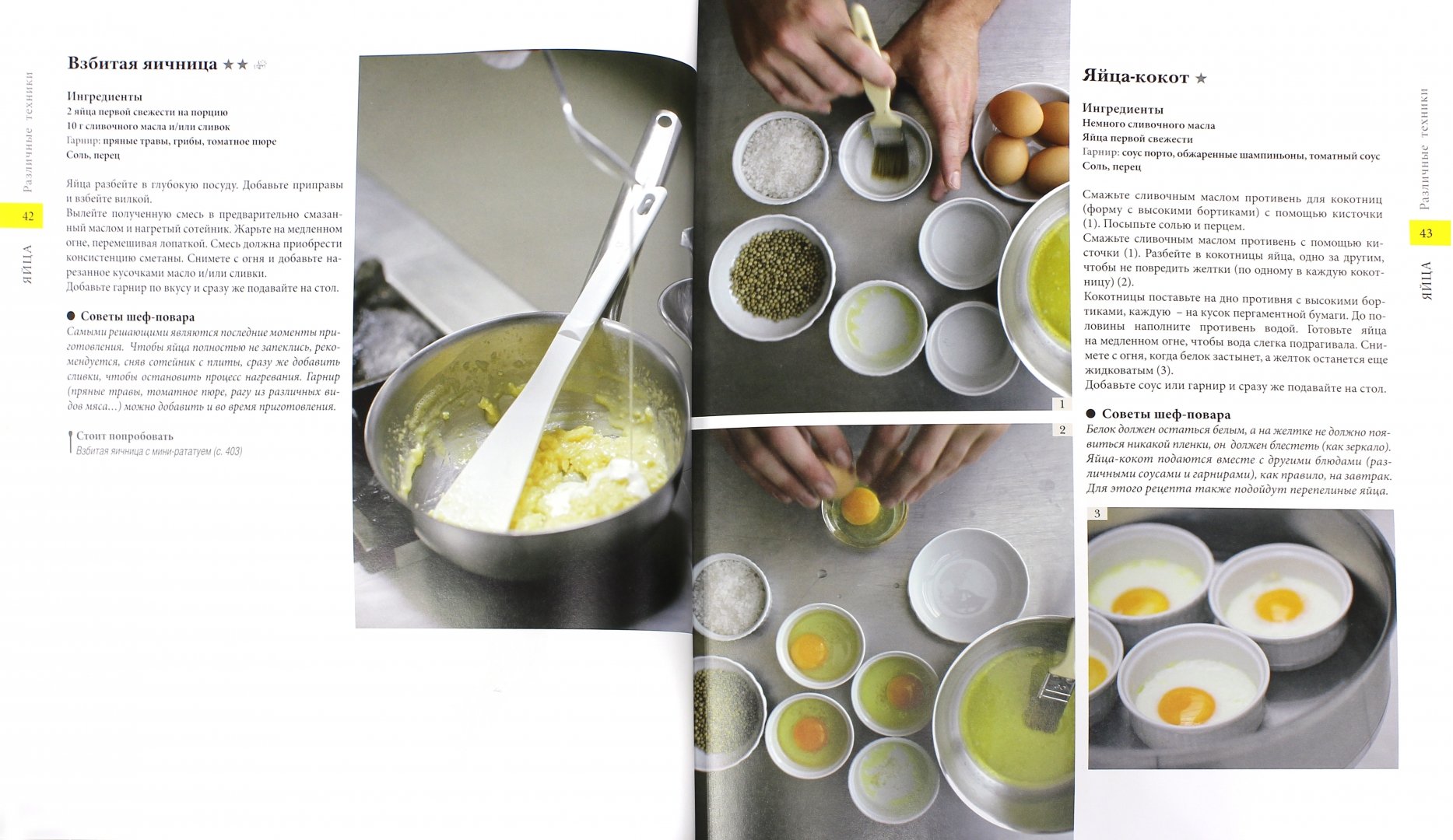 Иллюстрация 1 из 17 для Энциклопедия французской кухни (+DVD) - Буэ, Делорм | Лабиринт - книги. Источник: Лабиринт