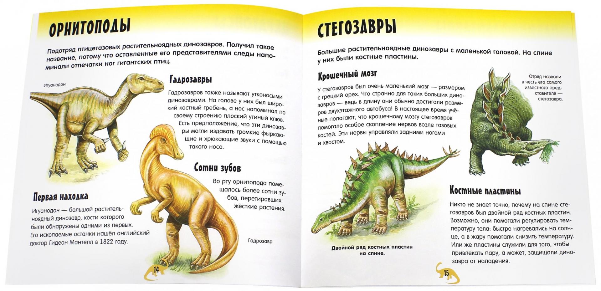 Иллюстрация 4 из 27 для Прикольный подарок. Шоу динозавров | Лабиринт - книги. Источник: Лабиринт
