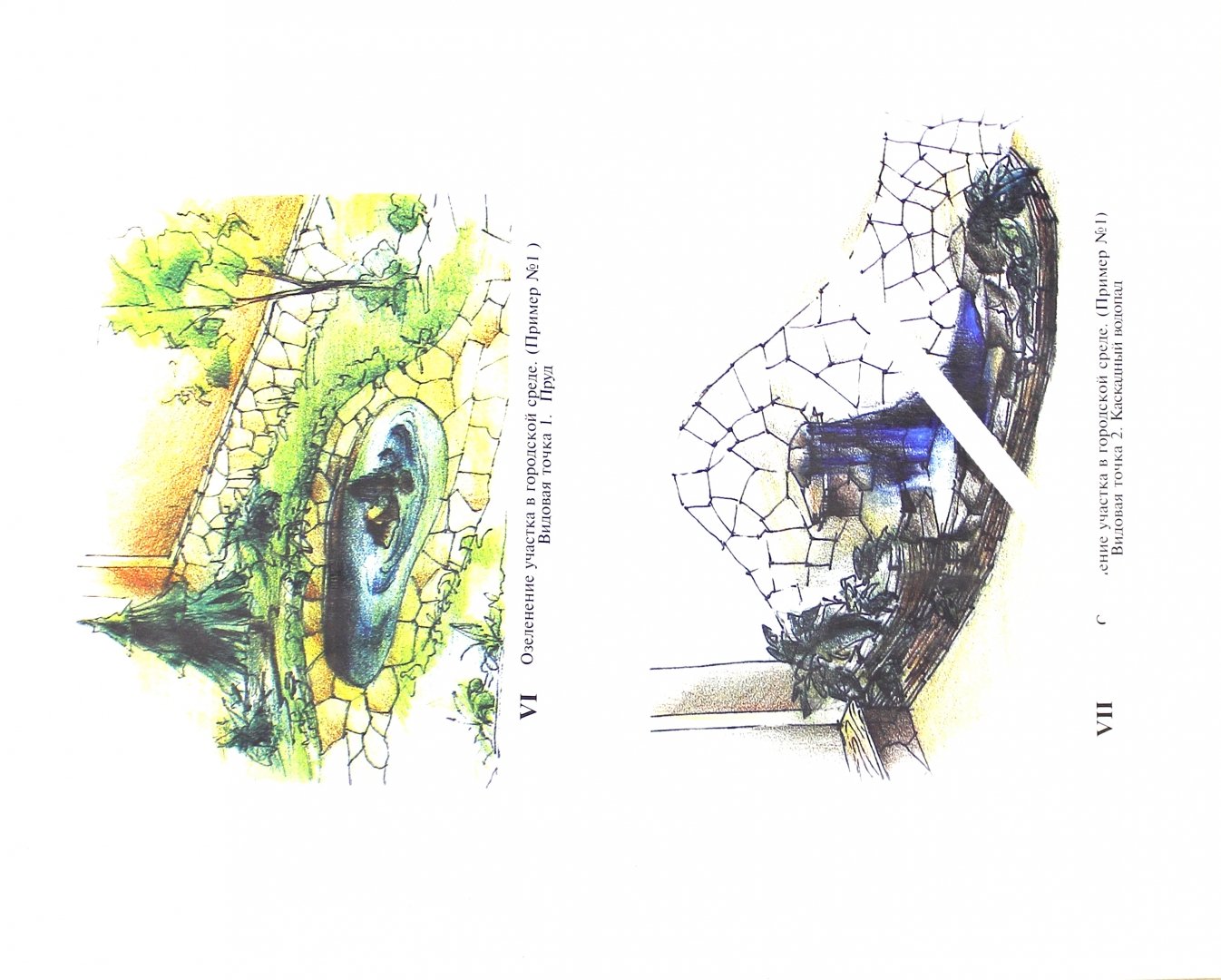 Иллюстрация 1 из 25 для Декоративные деревья и кустарники в ландшафтном озеленении - Мальцева, Алексеев-Малахов | Лабиринт - книги. Источник: Лабиринт