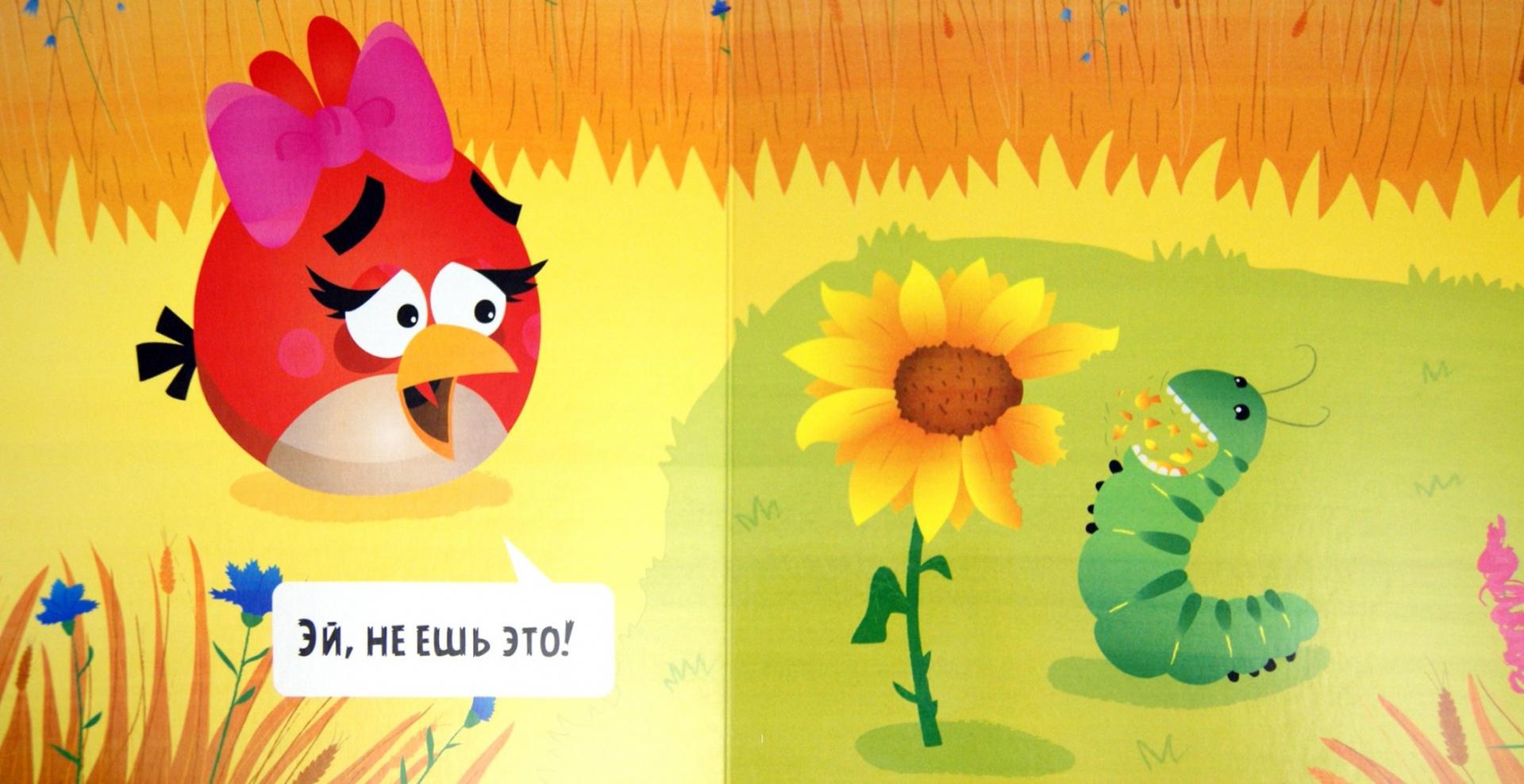 Иллюстрация 1 из 12 для Angry Birds. Чудо | Лабиринт - книги. Источник: Лабиринт