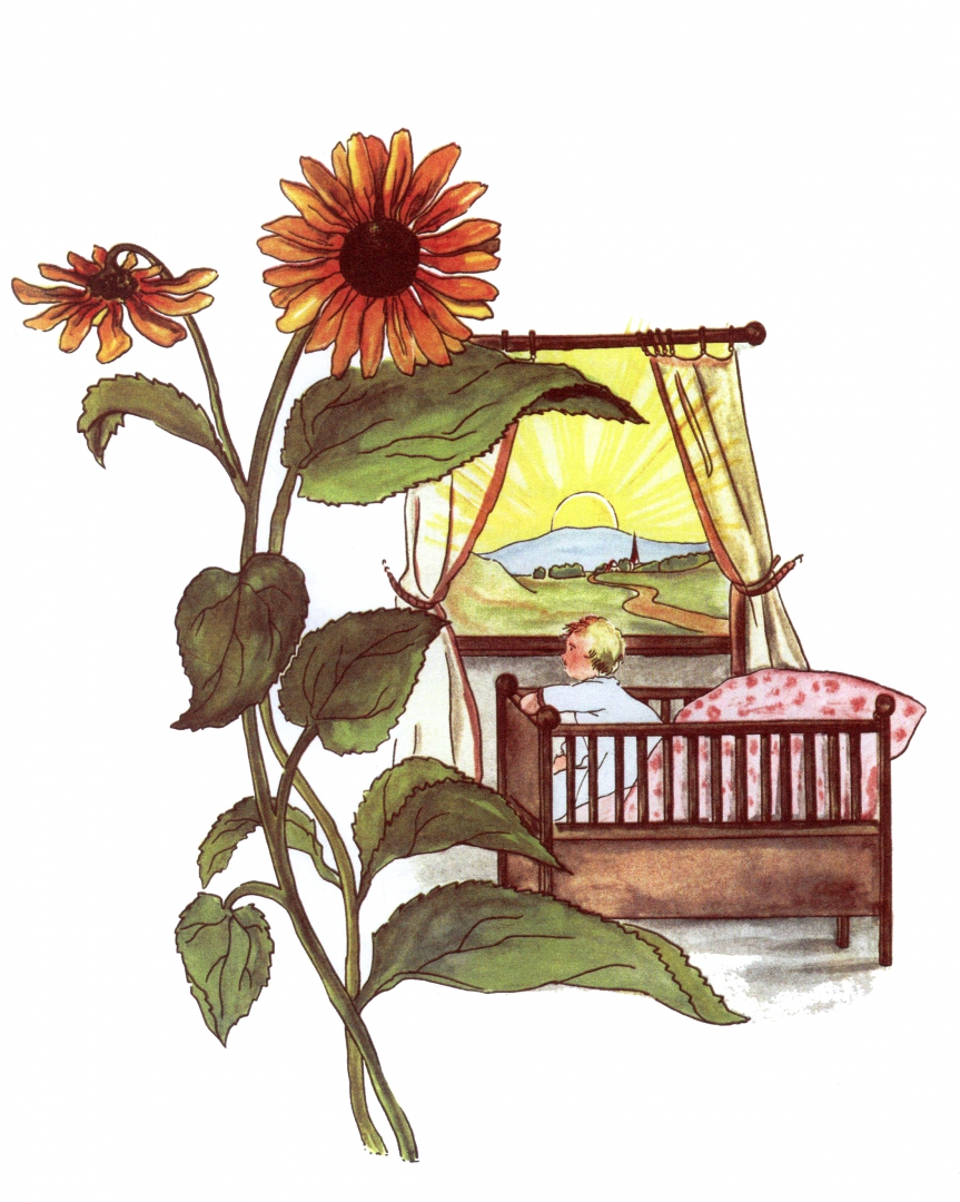 Иллюстрация 3 из 34 для Тили-дили крошка - фон Олферс | Лабиринт - книги. Источник: Лабиринт