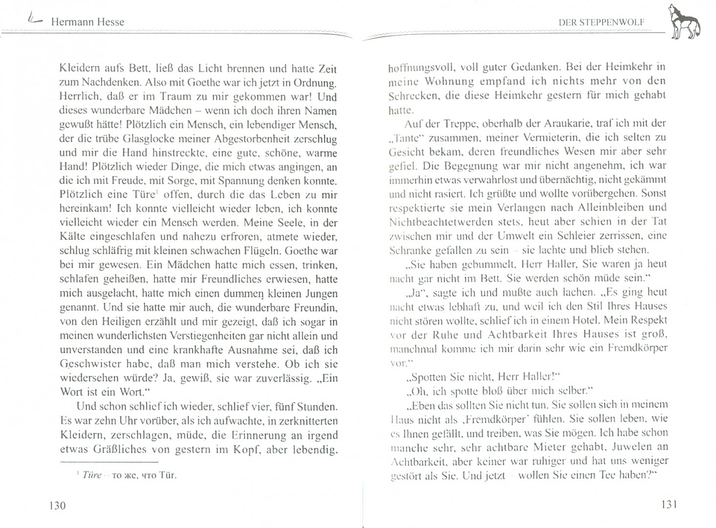 Иллюстрация 1 из 7 для Der steppenwolf - Hermann Hesse | Лабиринт - книги. Источник: Лабиринт