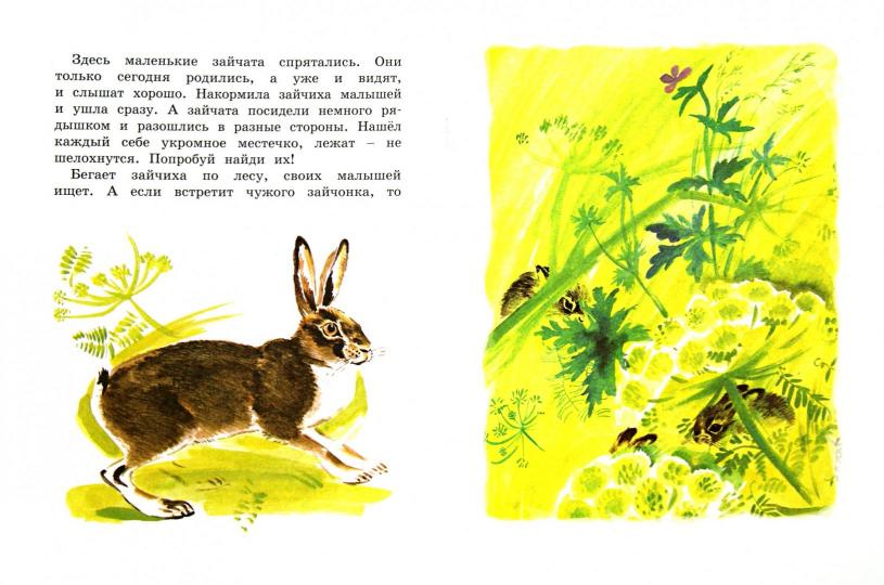 Книга: Как заяц в лесу живёт - Вера Чаплина. Купить книгу, читать  рецензии | ISBN 978-5-389-07866-6 | Лабиринт