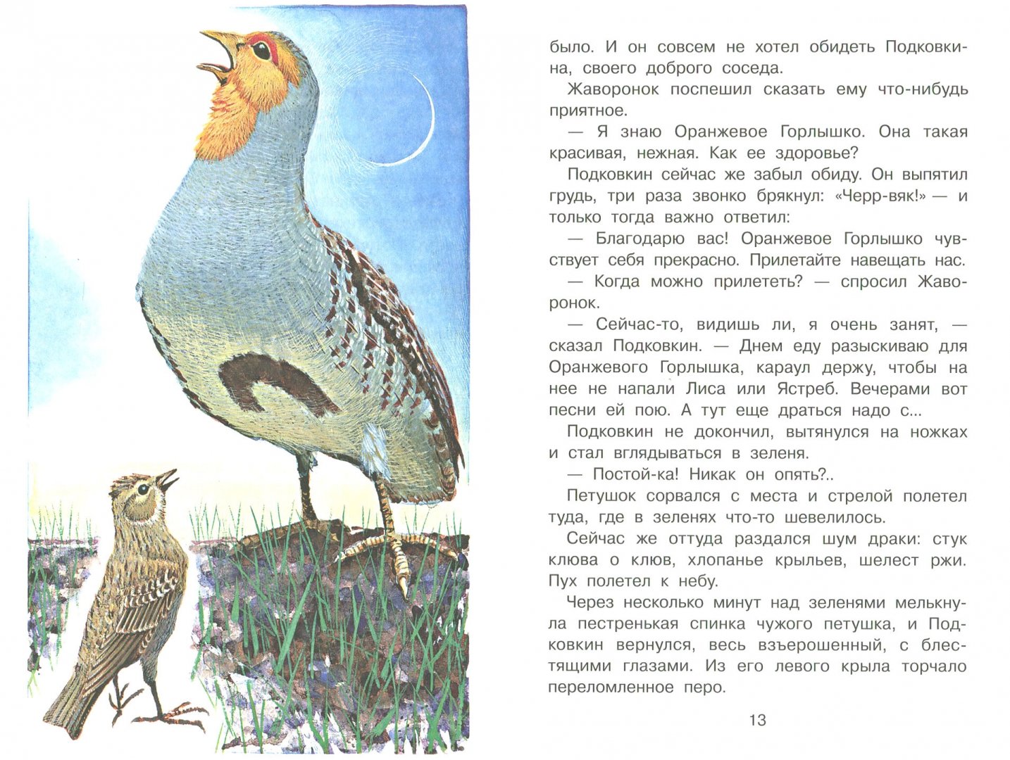 Иллюстрация 3 из 25 для Тайна ночного леса - Виталий Бианки | Лабиринт - книги. Источник: Лабиринт