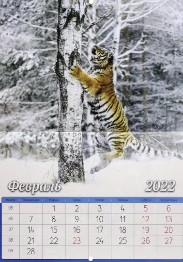 Символ Нового Года 2022 Купить Символ Нового Года 2022 Купить