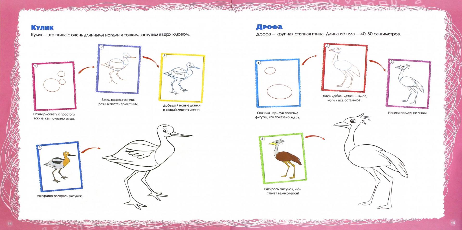 Иллюстрация 1 из 5 для Учимся рисовать. Птицы | Лабиринт - книги. Источник: Лабиринт