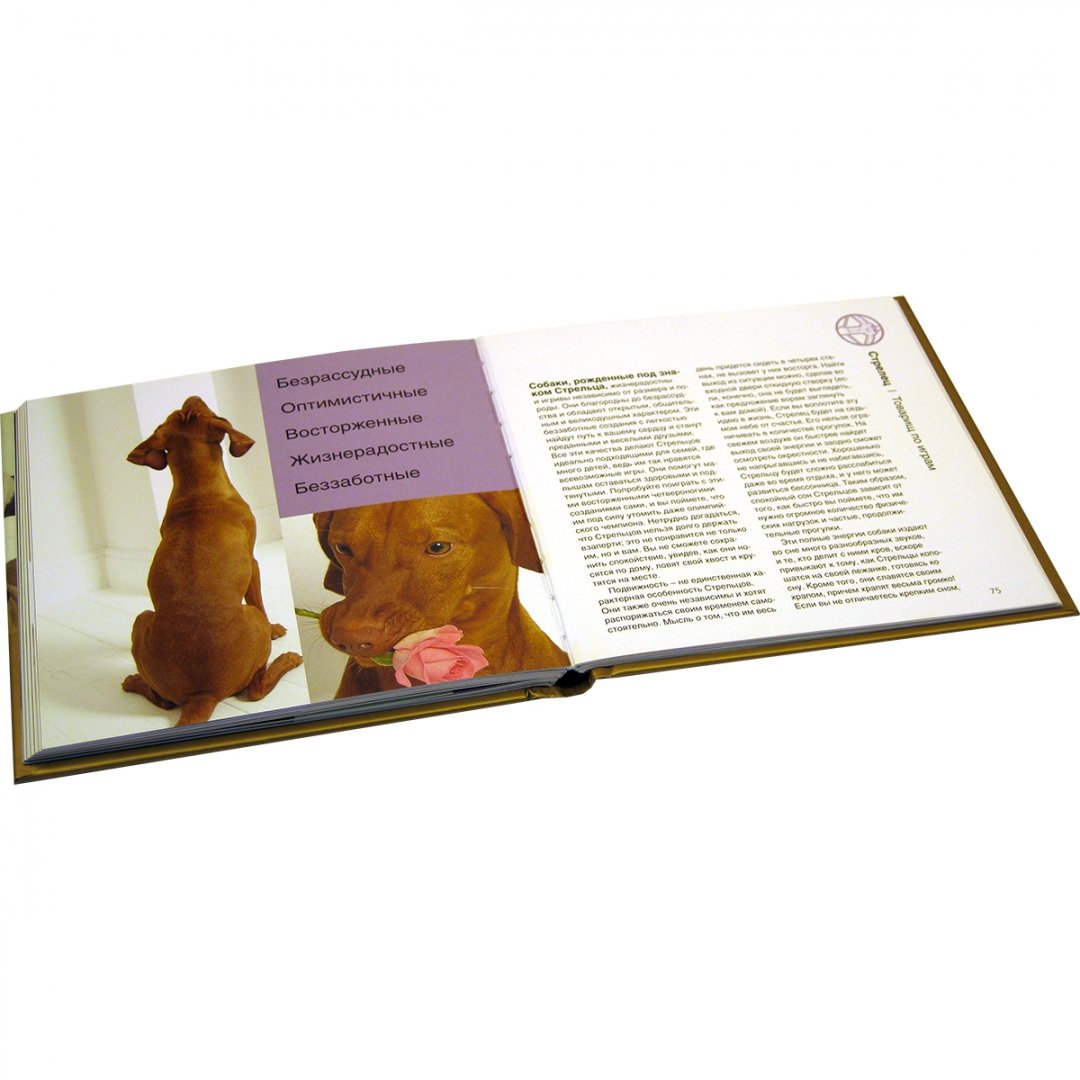 Иллюстрация 11 из 27 для Наши лучшие книги о собаках. Комплект из 4-х книг - Сандсмарк, Даймонд, Гринолл, Джейвор, Уитфилд | Лабиринт - книги. Источник: Лабиринт