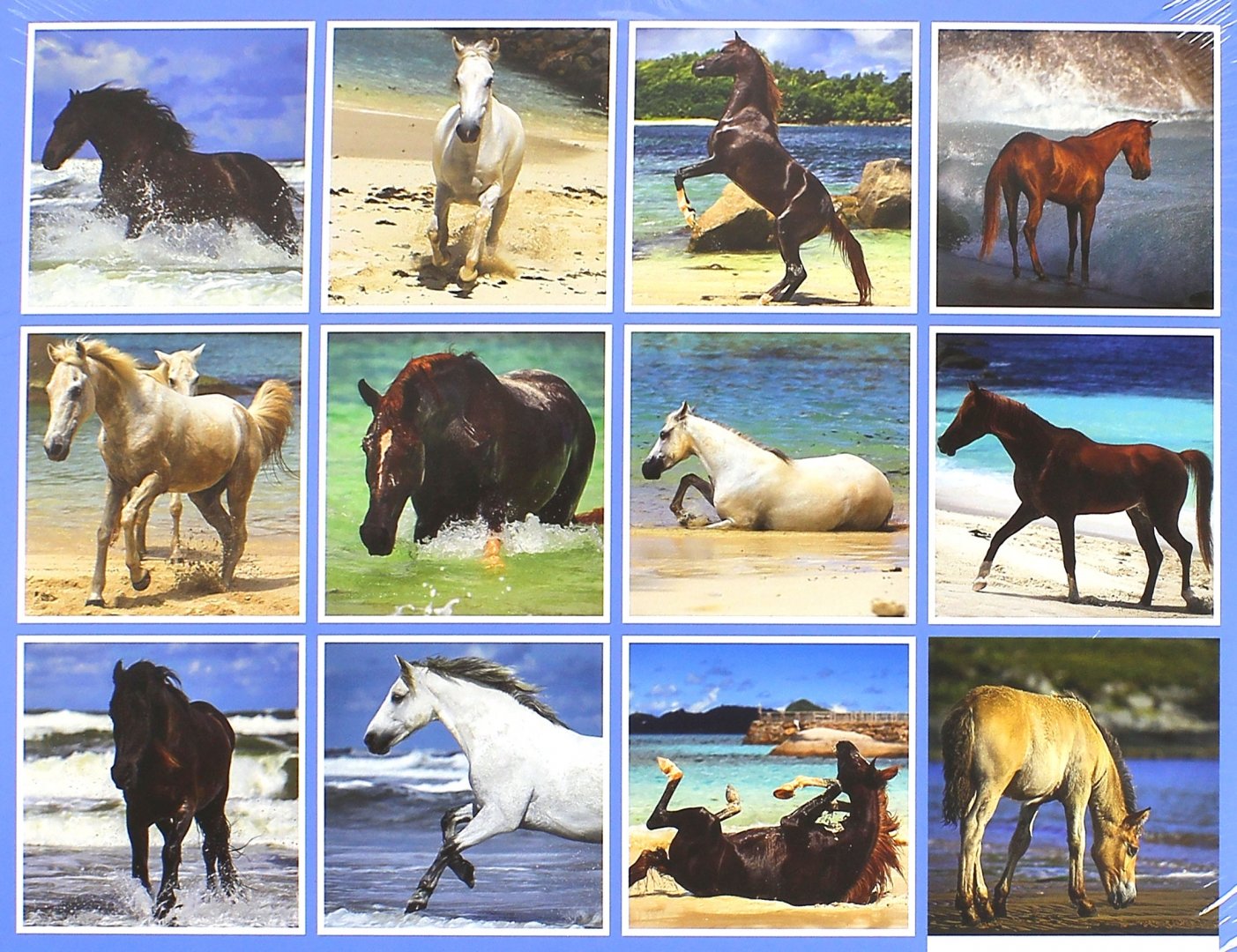 Иллюстрация 1 из 2 для Календарь на 2016 год "Лошади и море", 30х30 см (2928) | Лабиринт - сувениры. Источник: Лабиринт