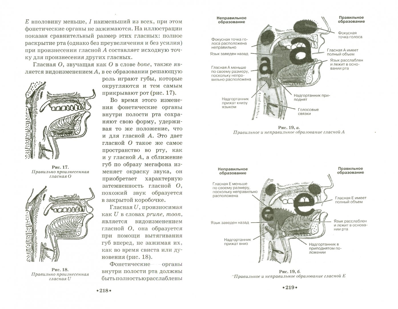 Иллюстрация 1 из 10 для Метод пения Карузо. Научный подход к голосообразованию - Марио Марафьоти | Лабиринт - книги. Источник: Лабиринт