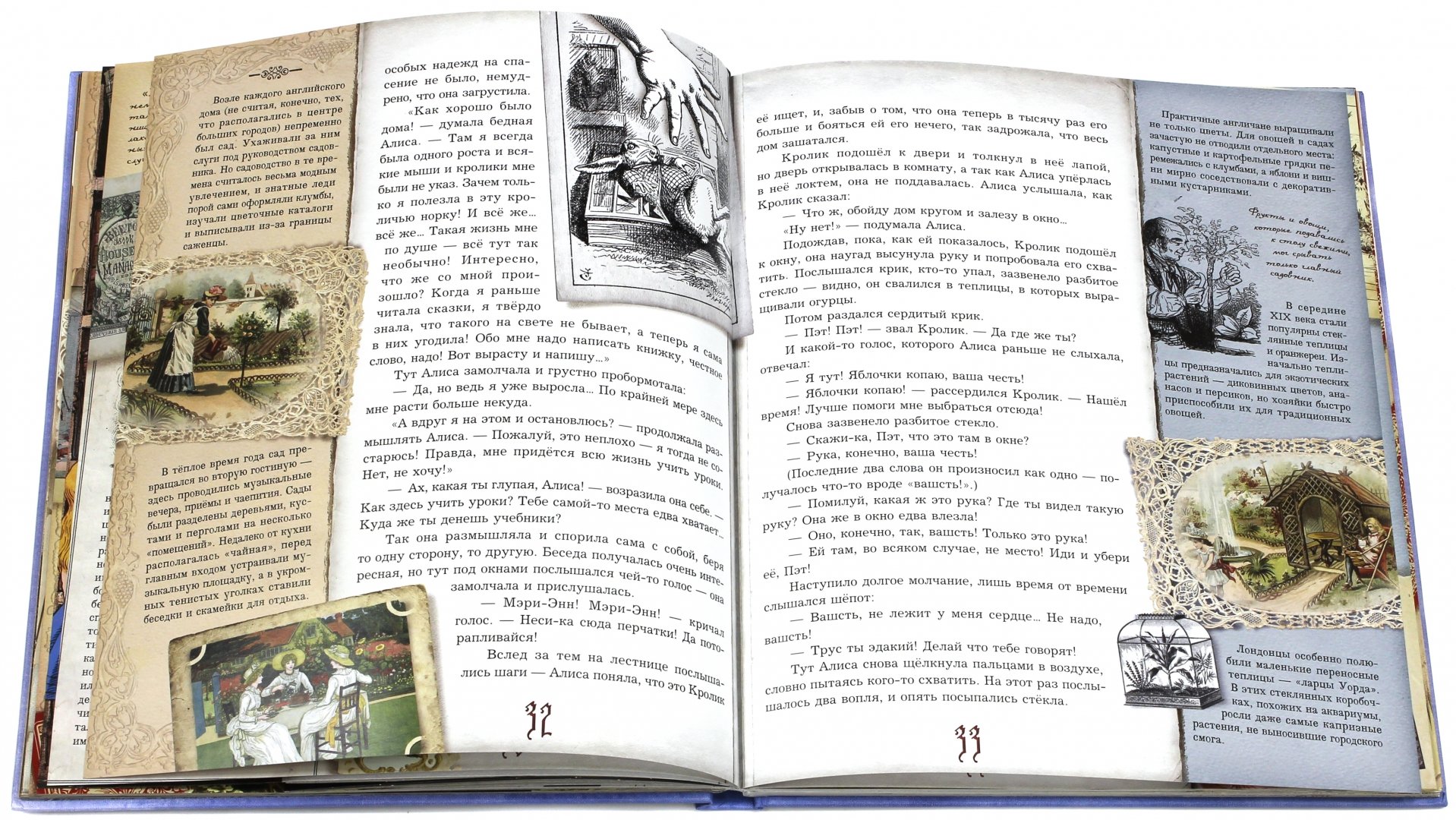 Иллюстрация 31 из 232 для Приключения Алисы в Стране Чудес - Льюис Кэрролл | Лабиринт - книги. Источник: Лабиринт