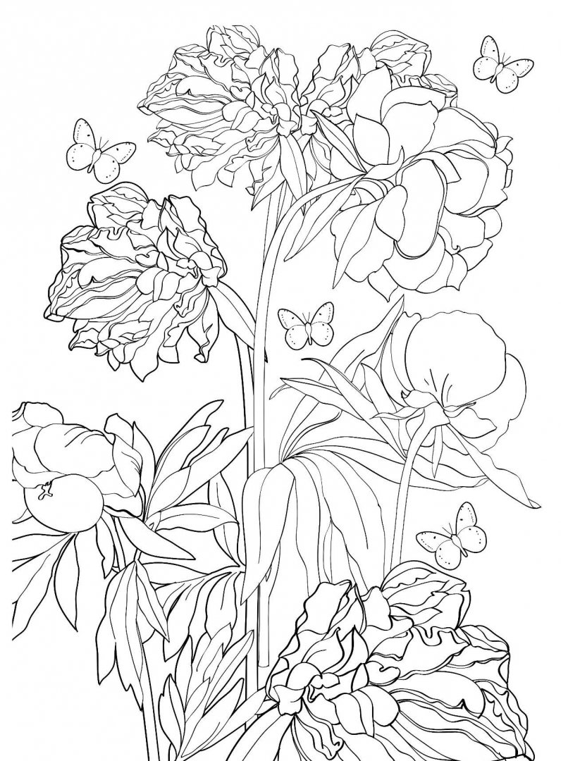 Иллюстрация 10 из 22 для Дивный сад. Раскраска-антистресс | Лабиринт - книги. Источник: Лабиринт